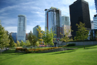 Certificate Programs Certificate Programs