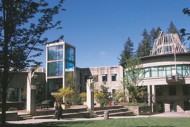 college college